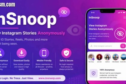 InSnoop: The Complete Guide to Anonymous Instagram Story Viewing